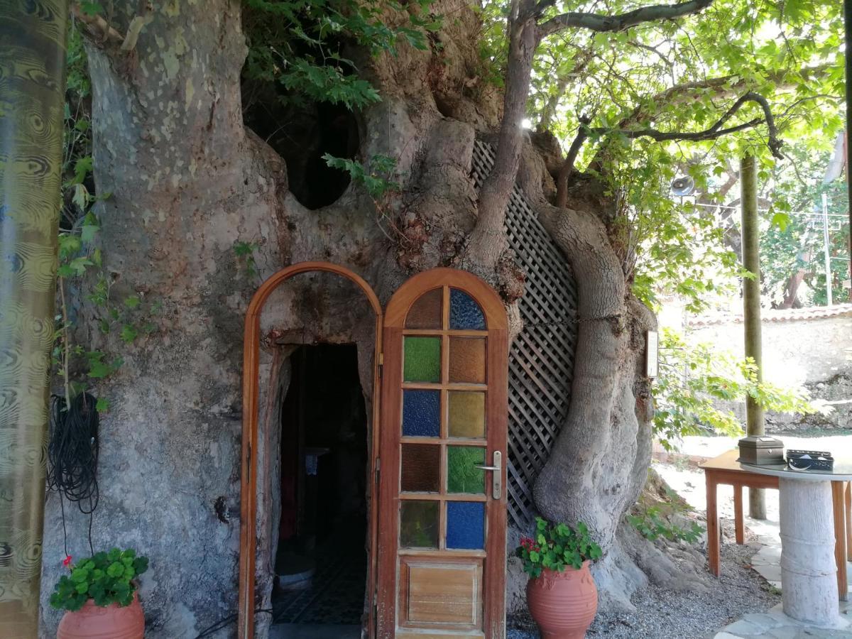 Villa Plataniotissa Mansion Kalavryta Exterior foto